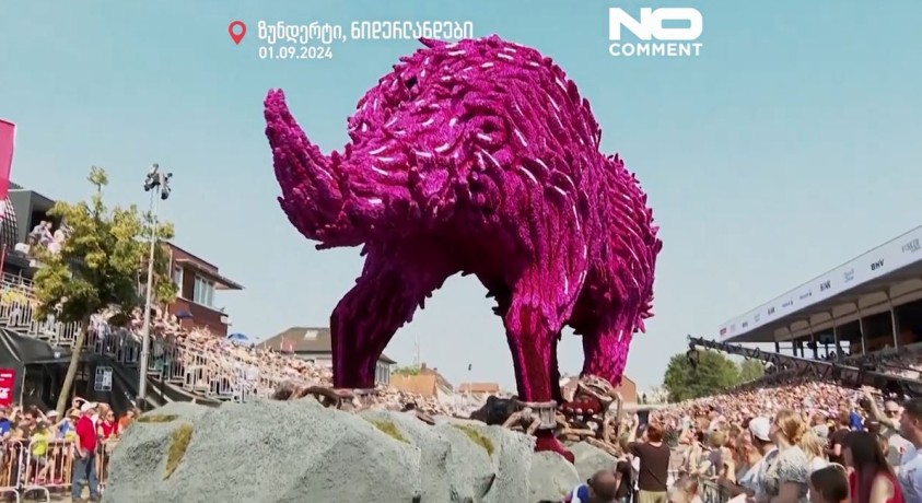 ზუნდერტი, ნიდერლანდები