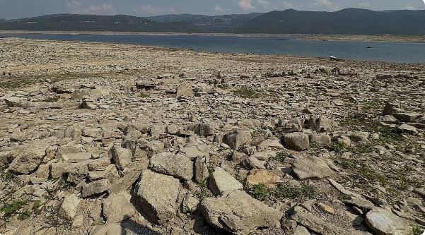 ბოსნიასა და პოლონეთში გვალვაა