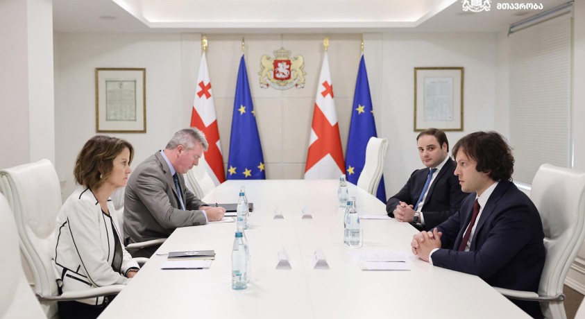საქართველოს პრემიერ-მინისტრი აშშ-ის ელჩს შეხვდა