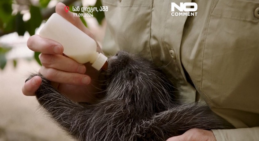 სან-დიეგო, აშშ