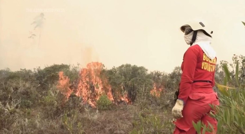 პერუს ხელისუფლებამ ტყის ხანძრებთან დაკავშირებით ქვეყნის სამ რეგიონში საგანგებო მდგომარეობა გამოაცხადა