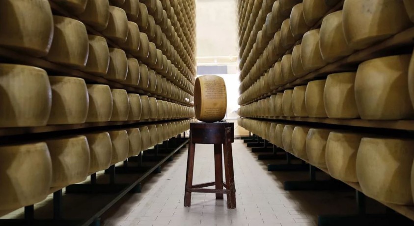 ჩინეთმა ევროპულ რძესა და რძის ნაწარმთან დაკავშირებით გამოძიება დაიწყო