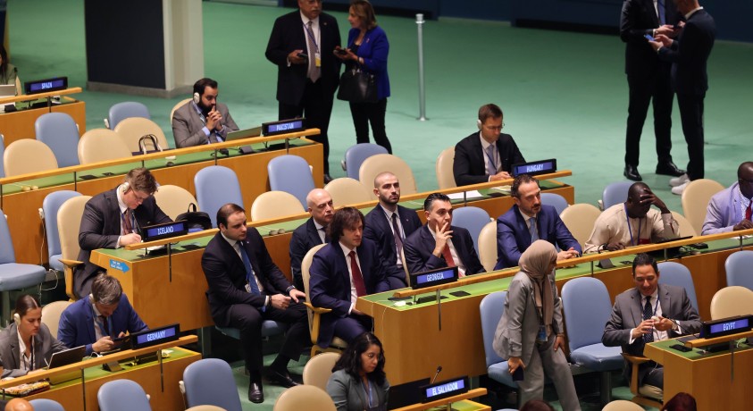 გაუქმებული მოსაწვევი საქართველოს დელეგაციისთვის