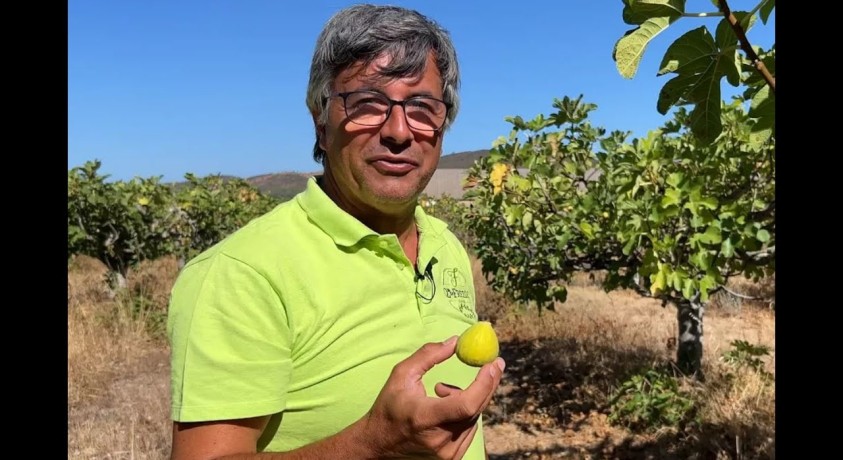 ალგარვის ბრძოლა წყლისთვის – ფერმერები ნიადაგის ნაყოფიერების შენარჩუნების ახალ გზებს პოულობენ