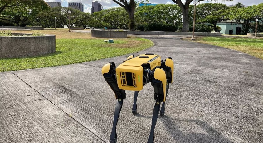 მაშველი რობოტები ავსტრიიდან