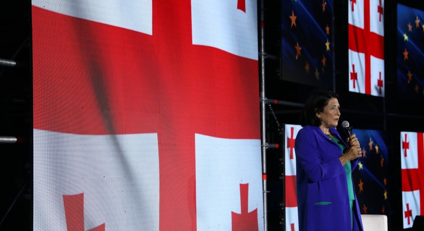 „გაყალბების დამარცხების გზა მობილიზაციაა” – სალომე ზურაბიშვილი