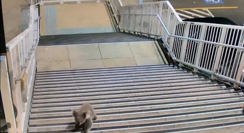 სიდნეი, ავსტრალია