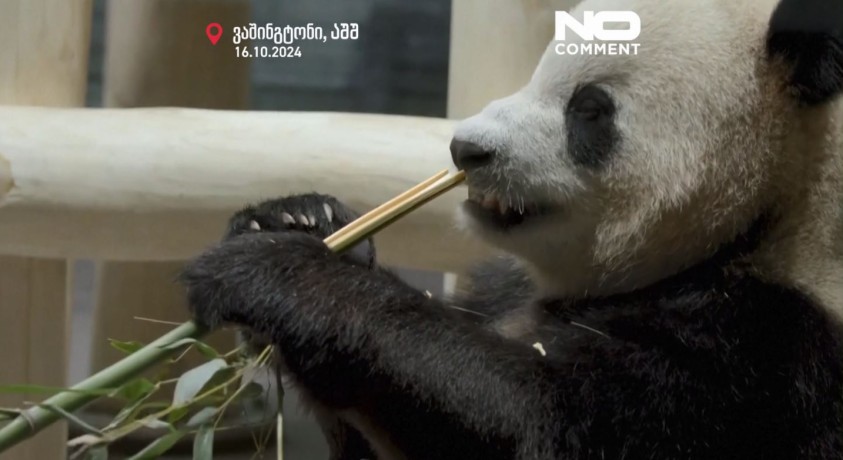 ვაშინგტონი, აშშ