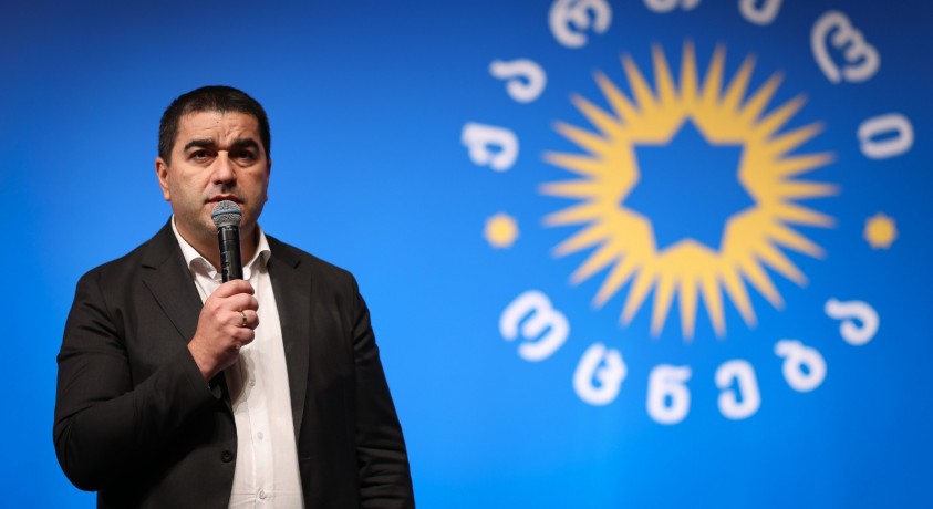 შალვა პაპუაშვილი არასამთავრობო სექტორს მიკერძოებაში ადანაშაულებს