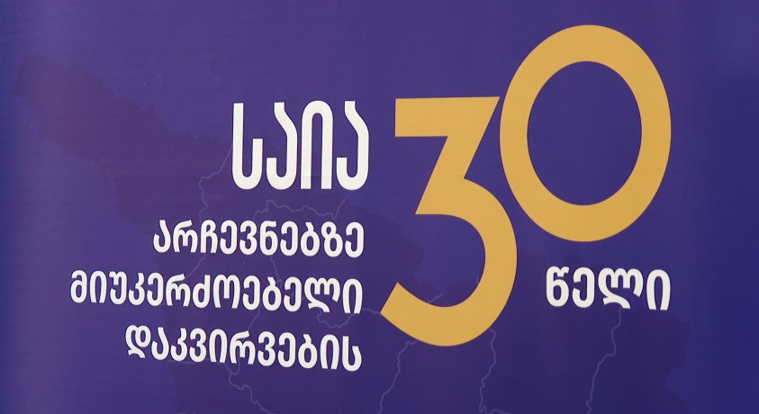 „წინასაარჩევნო პერიოდი მაღალი პოლარიზაციის ფონზე არათანასწორ გარემოში წარიმართა”- საია