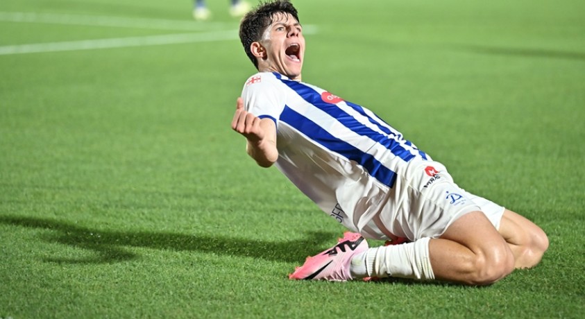 ვახტანგ სალია „ნიუკასლ იუნაიტედში” ითამაშებს