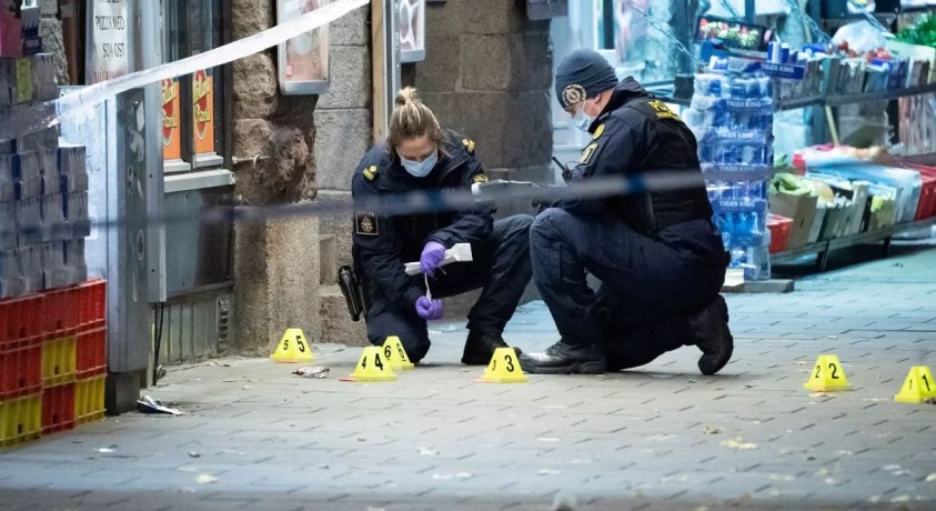 შვედეთისა და დანიის პრემიერებმა კრიმინალთან ბრძოლის გზებზე იმსჯელეს