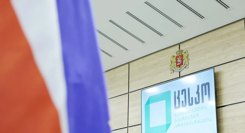 საოლქო კომისიებმა 1200-მდე საჩივრიდან დაახლოებით 15 პროცენტი დააკმაყოფილეს