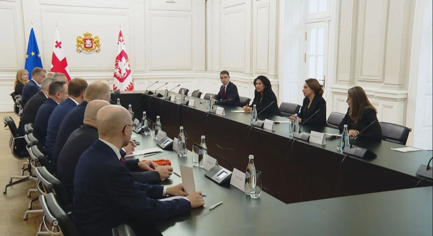 ევროპელი კანონმდებლები საქართველოში და გზავნილები დასავლეთიდან