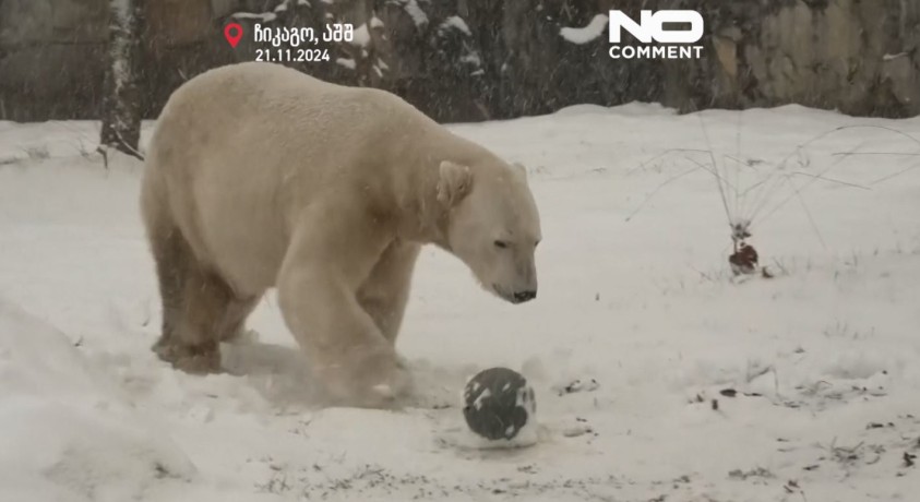 ჩიკაგო, აშშ