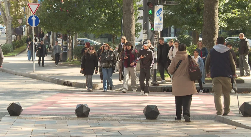 საქართველოში საყოველთაო აღწერა 29 ნოემბრიდან კარდაკარის პრინციპით გაგრძელდება