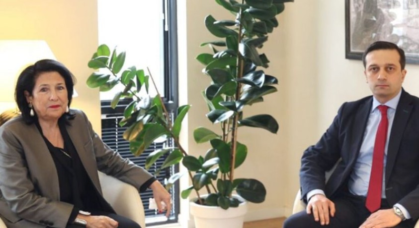 საქართველოს სახალხო დამცველი სალომე ზურაბიშვილს შეხვდა