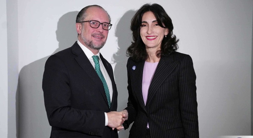 საქართველოსა და ავსტრიის საგარეო საქმეთა მინისტრებმა ეთმანეთისგან განსხვავებული ცნობები გამოაქვეყნეს