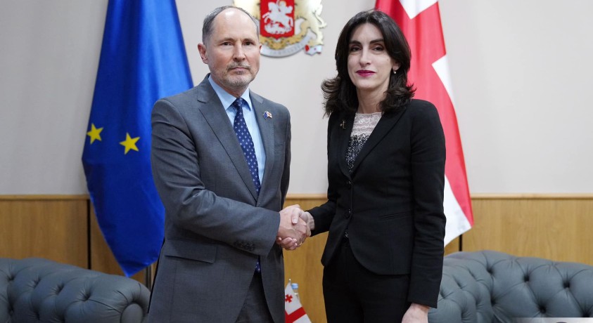 საქართველოს საგარეო საქმეთა მინისტრი ევროკავშირის ელჩს შეხვდა