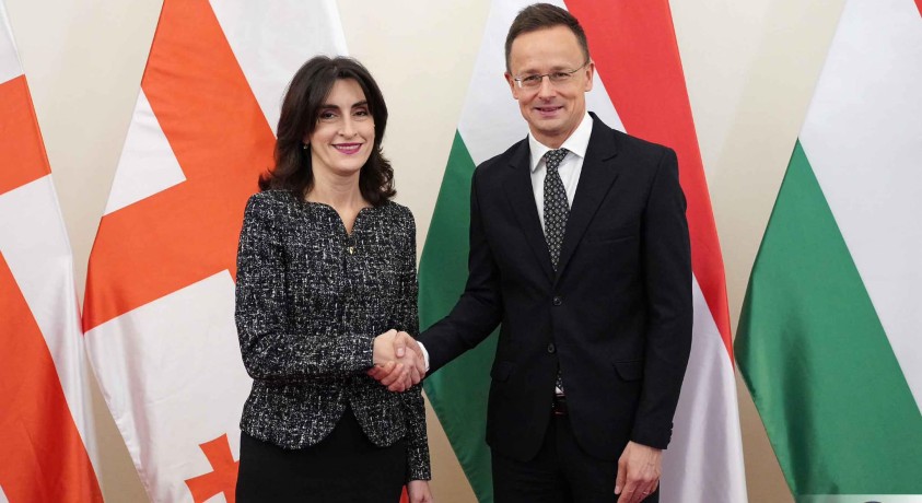 მაკა ბოჭორიშვილი პიტერ სიიარტოს შეხვდა