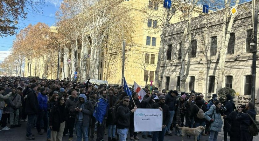 IT სფეროს წარმომადგენლებმა აქცია გამართეს