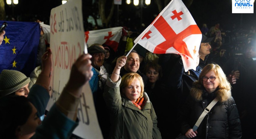 ევროპარლამენტართა დელეგაციის წევრები საქართველოს პარლამენტთან