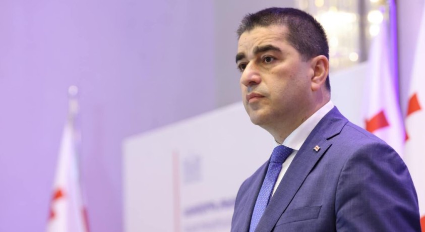 “სალომე ზურაბიშვილი მოსახლეობას სისხლისღვრით ემუქრება” – შალვა პაპუაშვილი