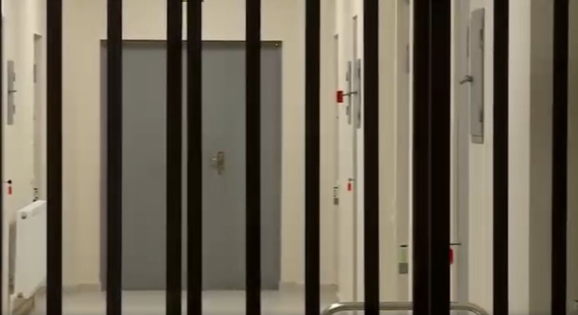 ნიკა გვარამია და ალეკო ელისაშვილი პატიმრობიდან გათავისუფლდნენ