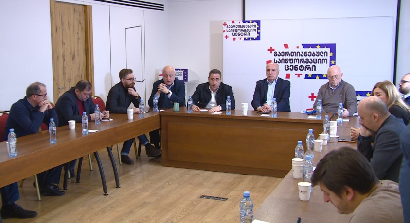 პოლიტიკური კრიზისის დაძლევის ერთობლივი სტრატეგია