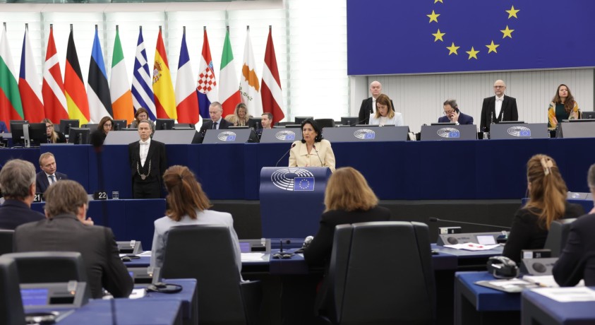 სალომე ზურაბიშვილი ევროპარლამენტში სიტყვით გამოვიდა