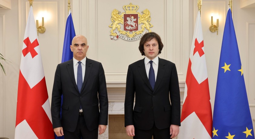 ევროპის საბჭოს გენერალური მდივანი ირაკლი კობახიძეს შეხვდა