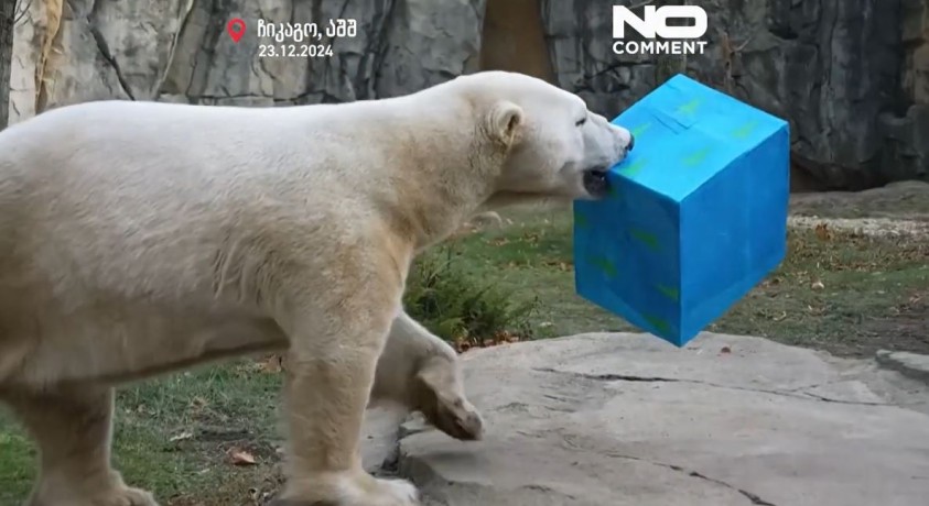 ჩიკაგო, აშშ