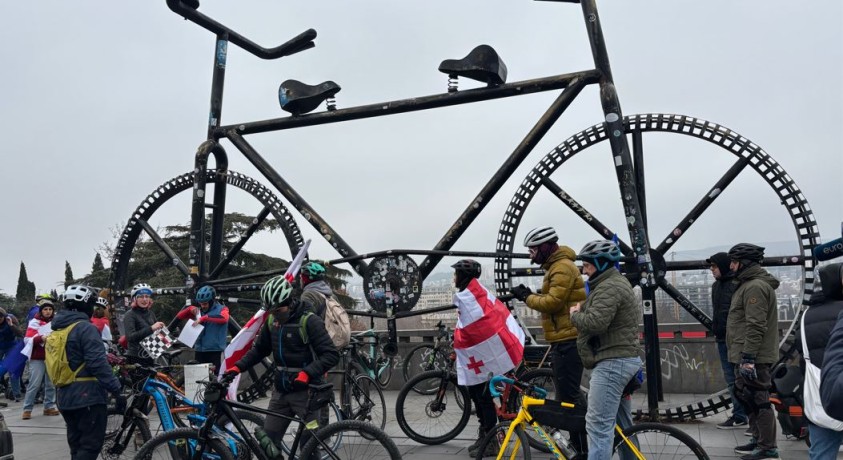 ეკოტრანსპორტის მფლობელთა მსვლელობა