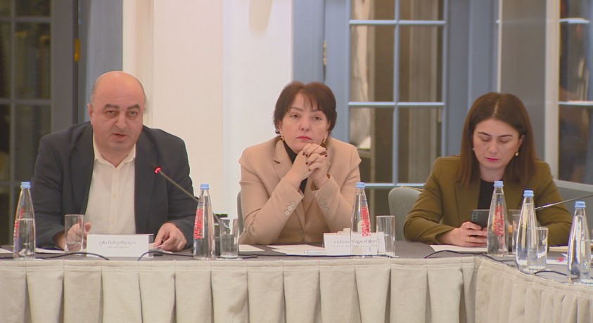 „როგორ მივიდეთ არჩევნებამდე” – სამოქალაქო სექტორი პოლიტიკური კრიზისიდან გამოსავალზე მსჯელობს