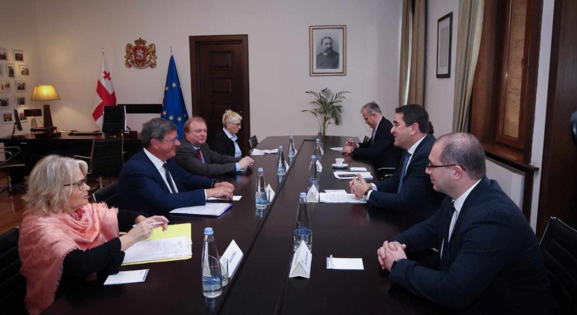 ევროსაბჭოს საპარლამენტო ასამბლეის დელეგაციის ვიზიტი გრძელდება