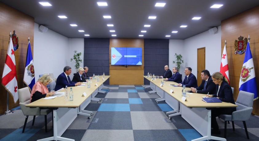 PACE-ს წარმომადგენლები შს მინისტრს შეხვდნენ