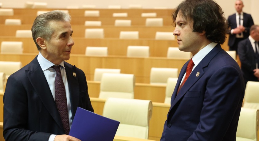 „დაუწესდეთ პერსონალური სანქციები ბიძინა ივანიშვილსა და ირაკლი კობახიძეს” – ევროპარლამენტარები