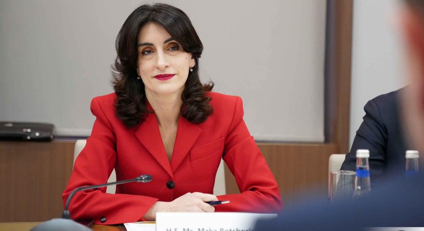 „ტექნიკური გადაწყვეტილებაა” – მაკა ბოჭორიშვილი ევროპული საბჭოს გადაწყვეტილებაზე