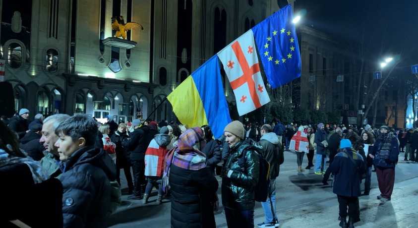 პროტესტის ხმა