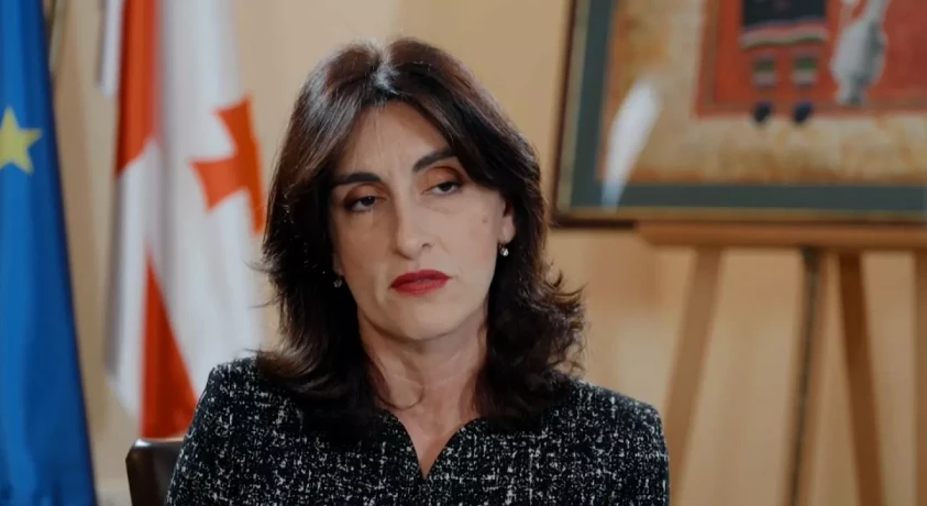 „ევროსაბჭოს გადაწყვეტილება არის პოლიტიკურადაც და სამართლებრივადაც არასწორი”, – მაკა ბოჭორიშვილი