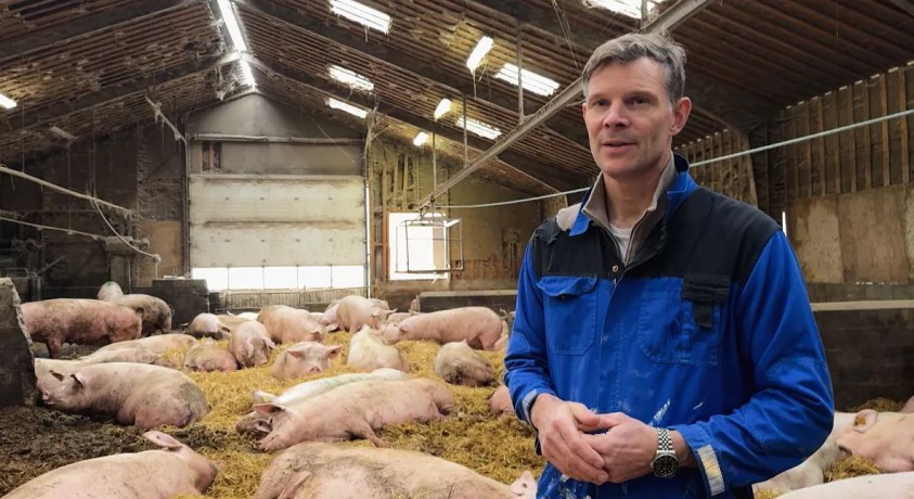 დანია მეცხოველეობის ნახშირბადის გადასახადით დაბეგვრას აპირებს – რამდენად მისაბაძია ეს მოდელი ევროპისთვის?