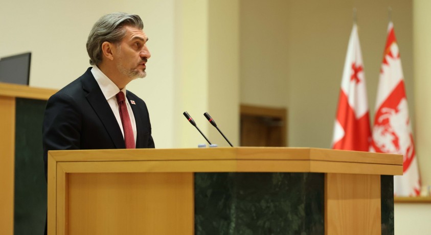 მიხეილ ყაველაშვილი პარლამენტის წინაშე წარდგა