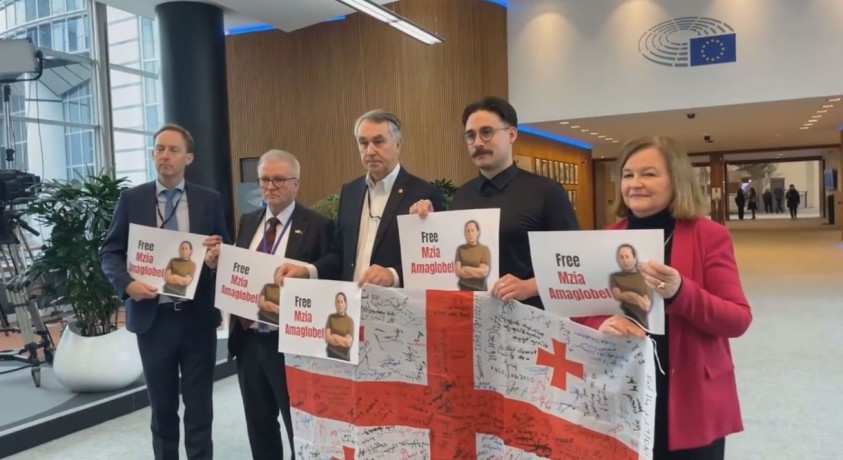 ევროპარლამენტართა ნაწილმა ბრიუსელში მზია ამაღლობელის მხარდამჭერი აქცია გამართა