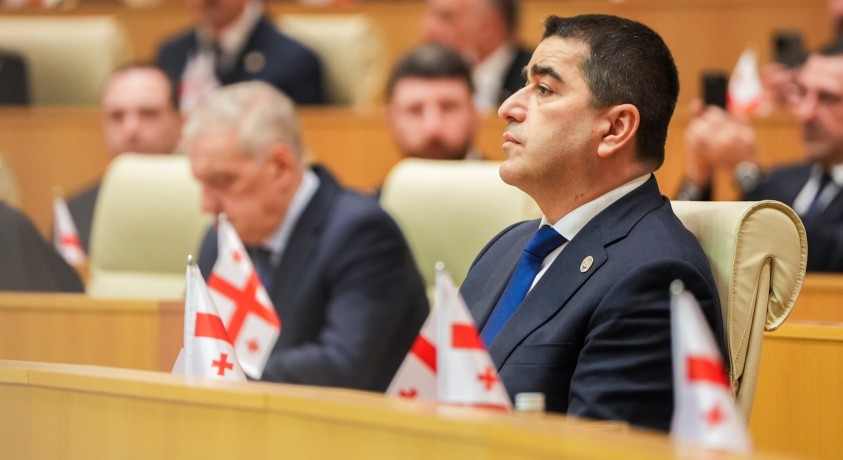 „თითოეული დონორი ქვეყანა ახლა ეჭვმიტანილია“ – შალვა პაპუაშვილი