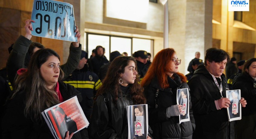 „30-დღიანი შიმშილობის ფონზე ფიზიკურად სუსტად არის“ – უფლებადამცველმა მზია ამაღლობელი მოინახულა