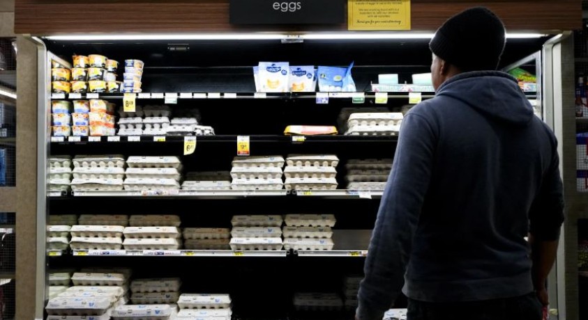 აშშ-ში ფრინველის გრიპის გამო კვერცხის საშუალო ფასი გაიზარდა