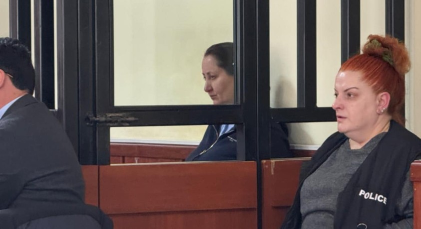 მოსამართლემ მზია ამაღლობელის პატიმრობის საკითხზე არ იმსჯელა