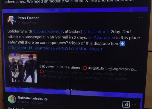 სალომე ზურაბიშვილზე თავდასხმას სოციალურ ქსელში ეხმაურებიან