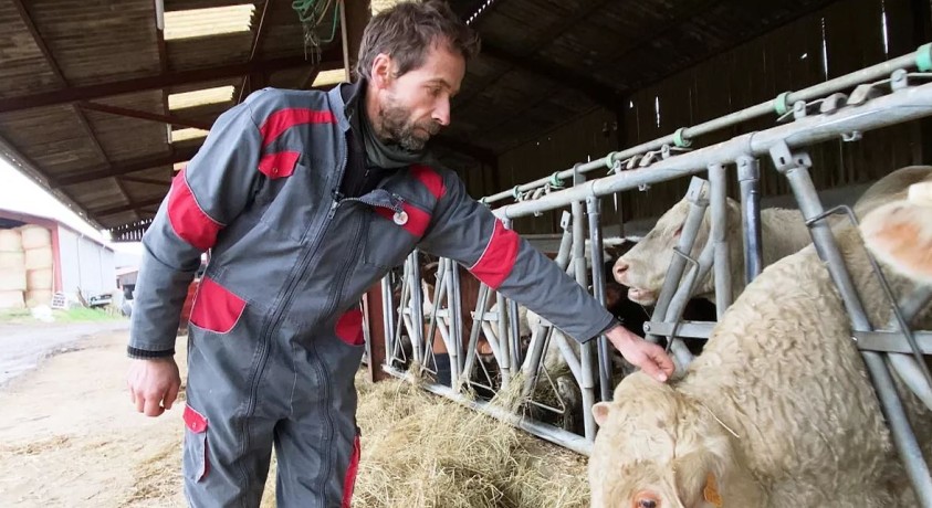 ვის ეშინია ევროკავშირსა და მერკოსურის ქვეყნებს შორის თავისუფალი ვაჭრობის?