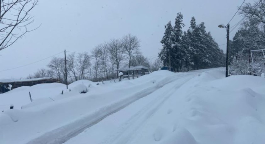 დიდთოვლობით გამოწვეული პრობლემები გურიაში – მოქალაქეები დახმარებას ითხოვენ